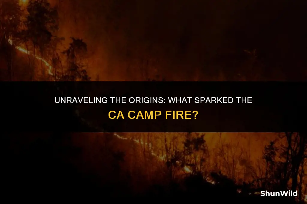 what started ca camp fire