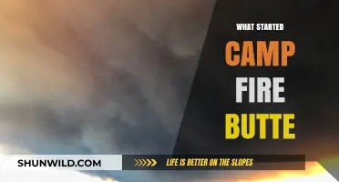 Unraveling the Origins: What Sparked the Camp Fire Butte Blaze?