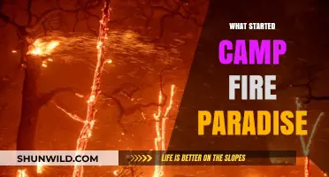 Inferno's Spark: Unraveling the Origins of Camp Fire Paradise