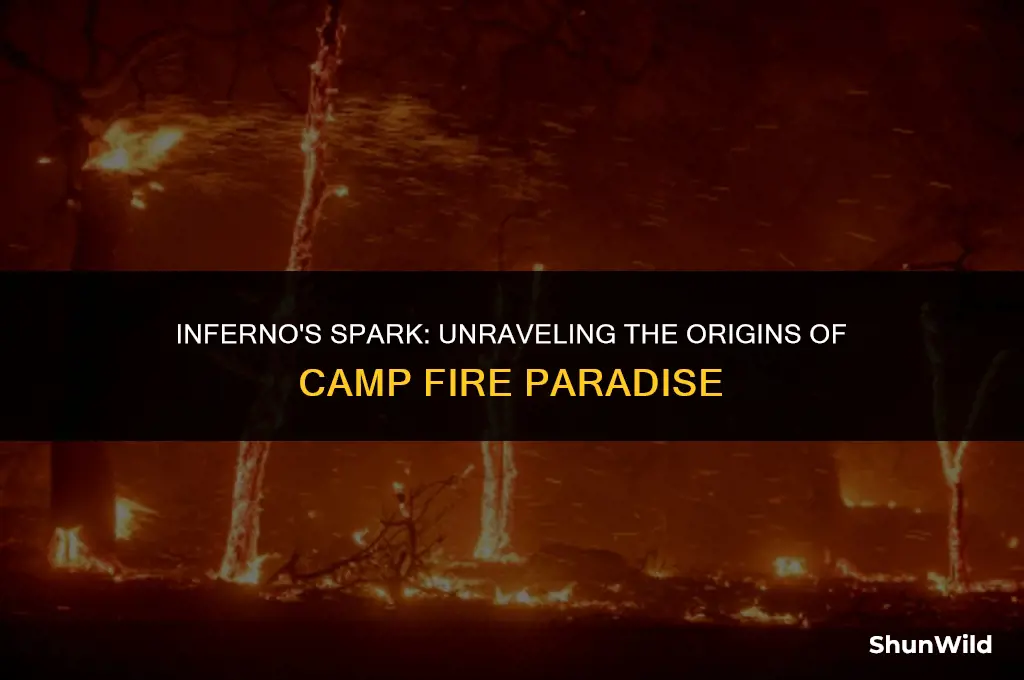 what started camp fire paradise