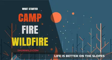 Unraveling the Origins: What Sparked the Devastating Camp Fire Wildfire?