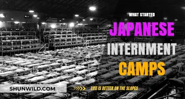 Unveiling the Origins: A Deep Dive into Japanese Internment Camps