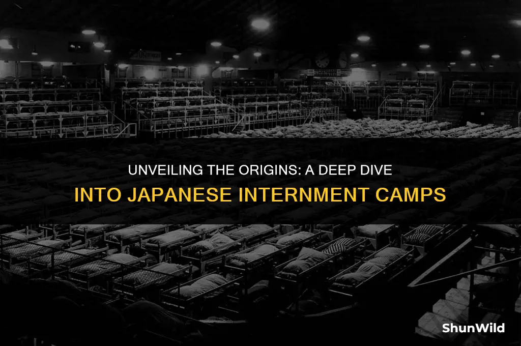 what started japanese internment camps