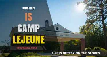 Discovering Camp Lejeune: A Journey Through North Carolina's Marine Corps Base