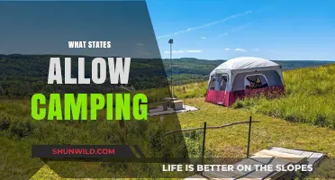 Exploring the Great Outdoors: A Guide to Camping-Friendly States