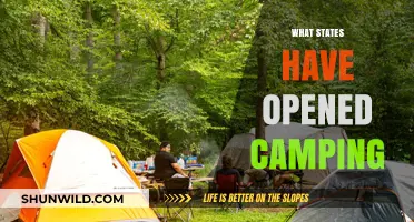 Exploring the Great Outdoors: States with Open Camping Sites