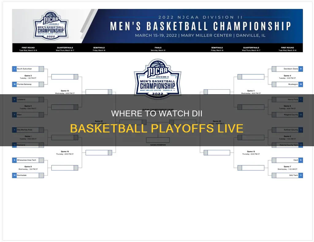 what station will air the dii basketball playoffs