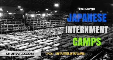 Ending a Dark Chapter: The Fight Against Japanese Internment Camps