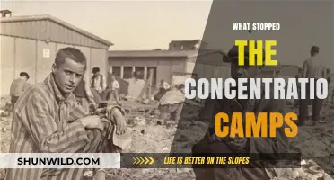 Liberation and Resistance: The Forces That Ended Concentration Camps