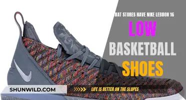 Lebron 16 Low: Where to Buy Nike's Basketball Shoes