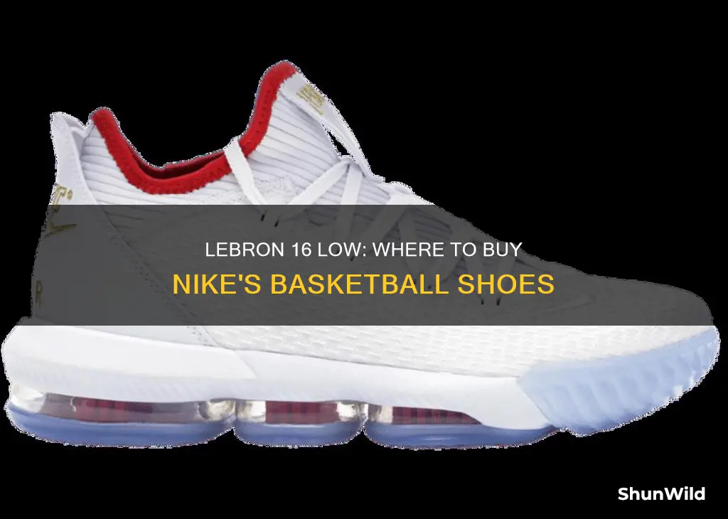 what stores have nike lebron 16 low basketball shoes