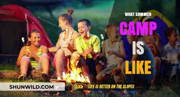 Sunny Days and S'mores: A Camper's Guide to Summer Bliss