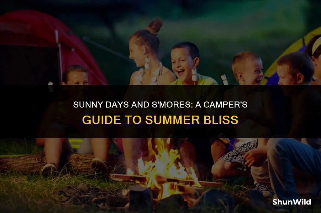 what summer camp is like