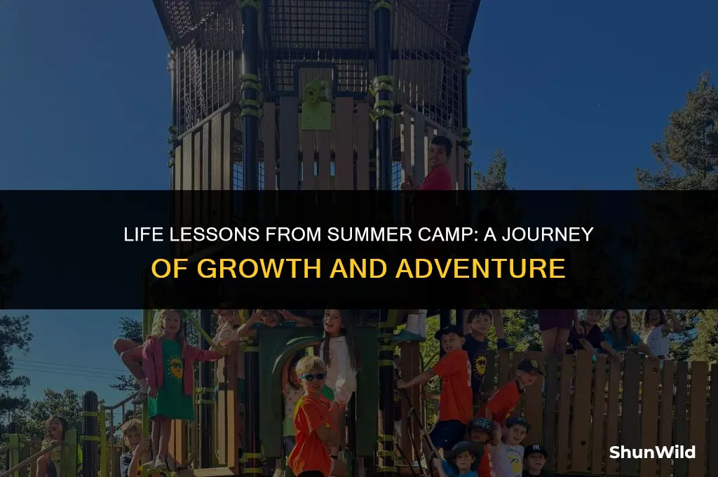 what summer camp taught me