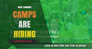 Summer Camps Hiring: Opportunities for Fun and Growth