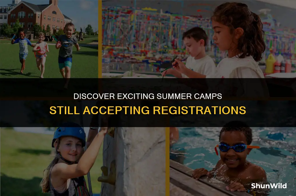 what summer camps are open