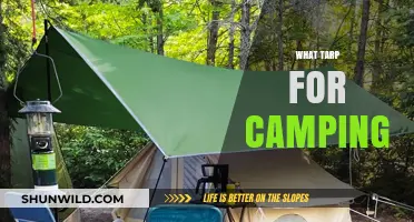 Choosing the Perfect Tarp for Your Next Camping Adventure