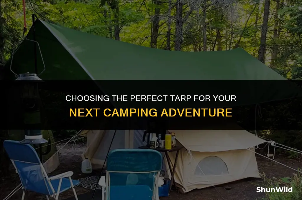 what tarp for camping