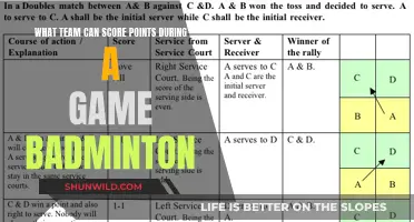 Who Earns Points in Badminton? Understanding the Scoring System