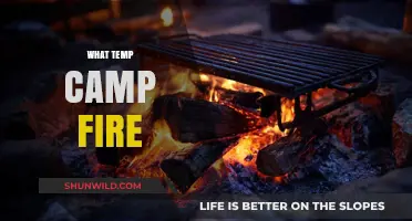 Mastering the Art of Campfire Cooking: Temperature Tips and Tricks