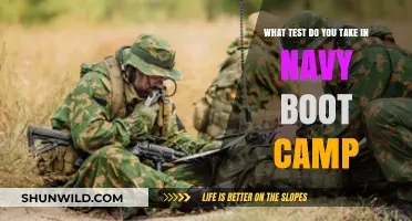 Navy Boot Camp Tests: What to Expect and How to Prepare