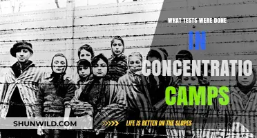 Unimaginable Atrocities: Medical Experiments in Nazi Concentration Camps