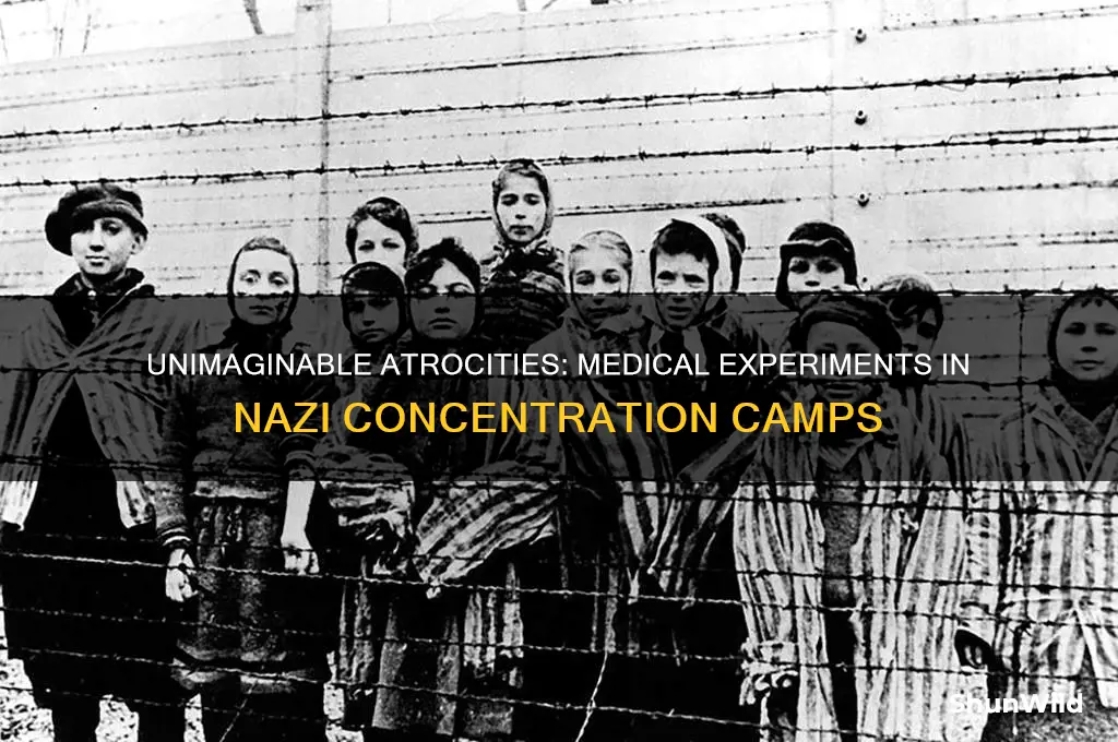 what tests were done in concentration camps