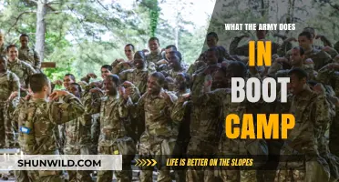 Unveiling Boot Camp: Army Training, Discipline, and Transformation Explained