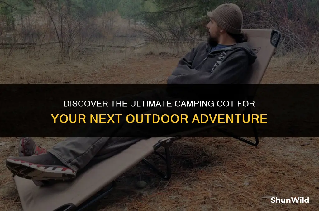 what the best camping cot