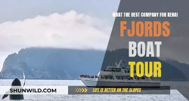 Best Boat Tour Companies in Kenai Fjords