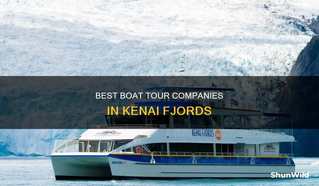 what the best company for kenai fjords boat tour