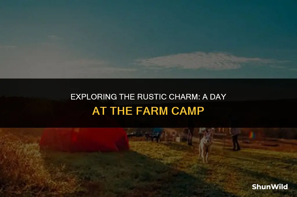 what the farm camp