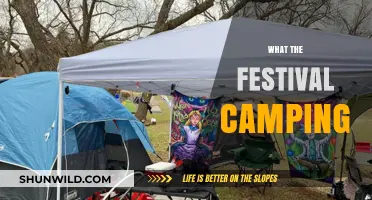 Embracing the Great Outdoors: A Guide to Festival Camping Fun