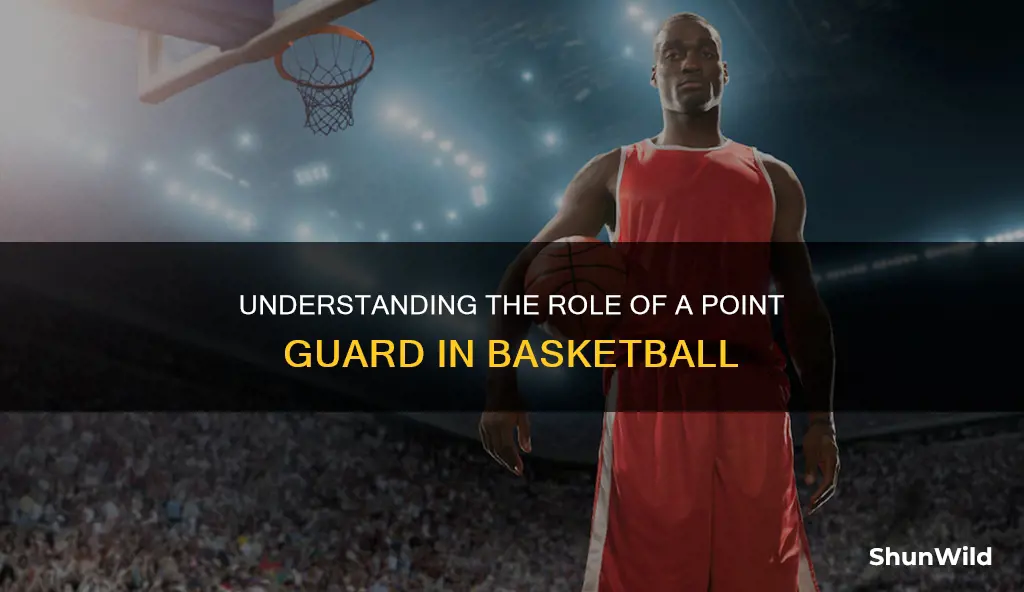 what the fuck is point gard in basketball