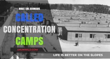 Concentration Camps: Unveiling the German Terminology and Historical Context