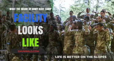 Inside Army Boot Camp: A Revealing Look at Training Facilities