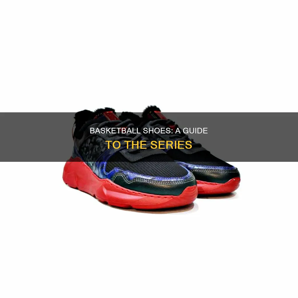 what the series shoes basketball