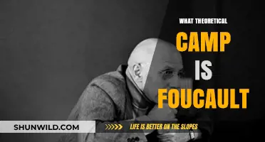 Exploring Foucault's Theoretical Camp: A Philosophical Journey