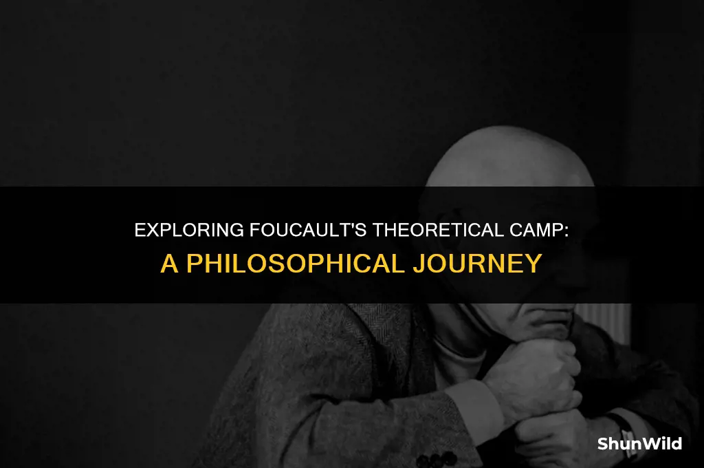 what theoretical camp is foucault