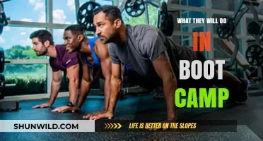 Boot Camp Essentials: Unveiling the Rigorous Training and Daily Routines