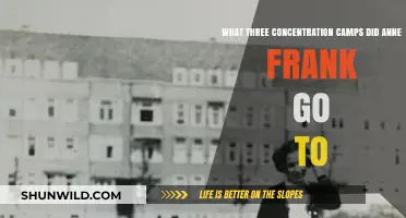 Anne Frank's Journey: The Concentration Camps She Endured