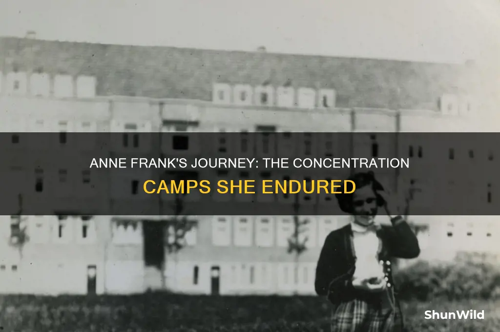 what three concentration camps did anne frank go to