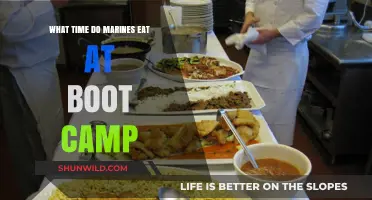 Marine Boot Camp Meal Times: When Recruits Eat During Training
