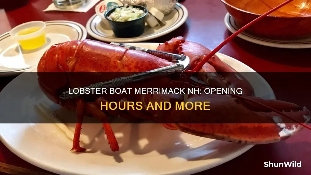 what time does lobster boat in merrimack nh open