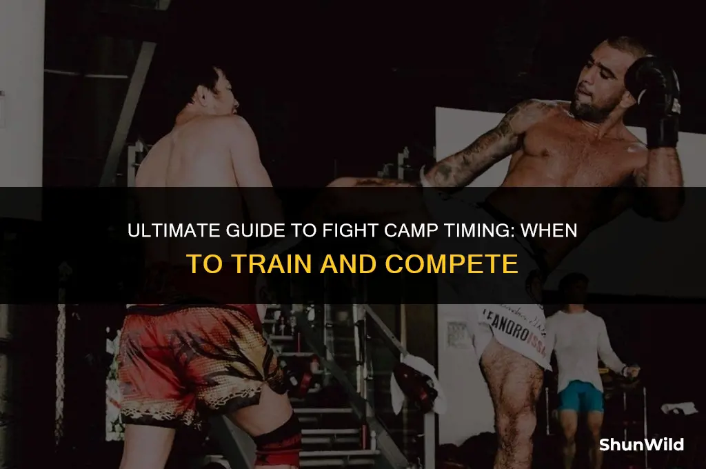 what time is fight camp