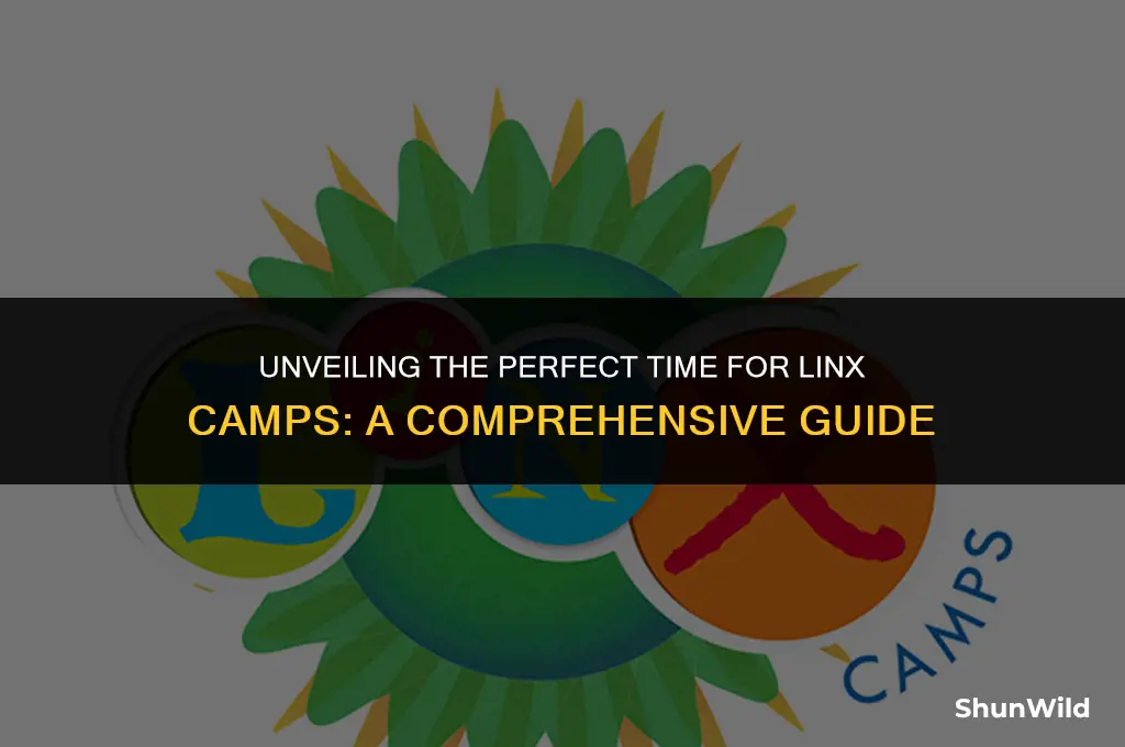 what time is linx camps