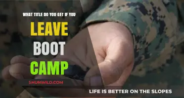 Post-Boot Camp Titles: What to Expect After Completing Training