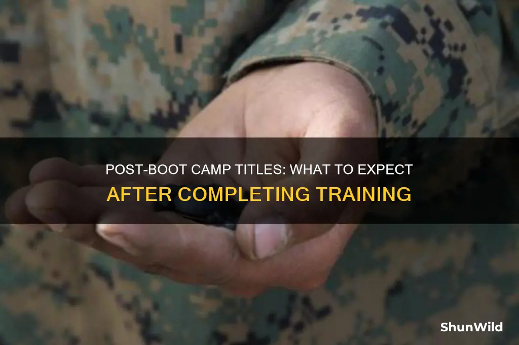 what title do you get if you leave boot camp