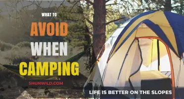 Essential Camping Tips: What to Avoid for a Safe and Enjoyable Trip