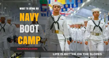 Essential Tips for Preparing and Succeeding at Navy Boot Camp